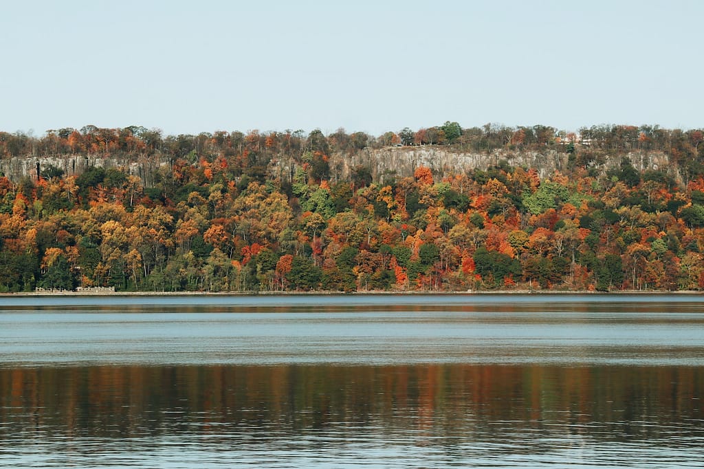 lake in forest
