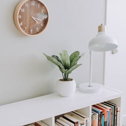 green plant on white pot beside white study lamp